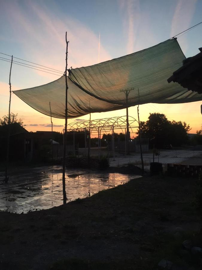 Anza Camping Shkodër Екстериор снимка